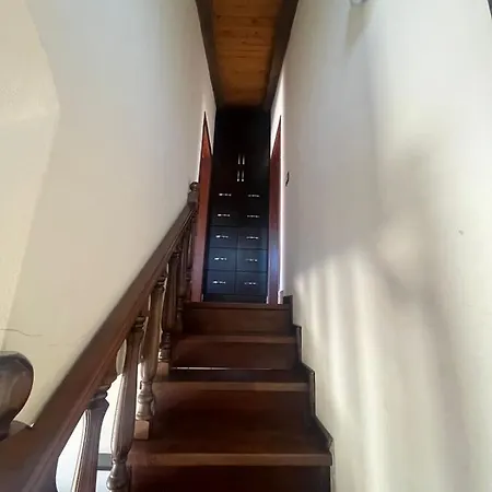 Lindo